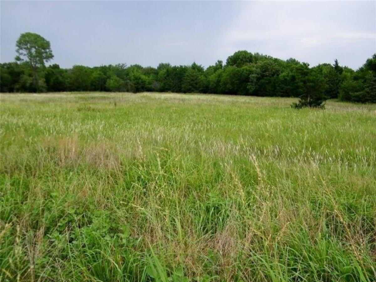 Picture of Residential Land For Sale in Wayne, Oklahoma, United States