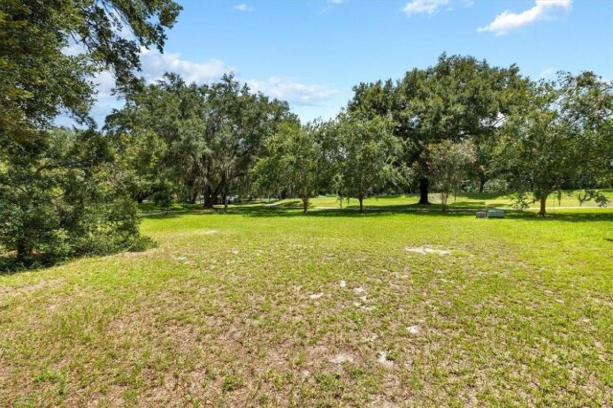 Picture of Residential Land For Sale in Lady Lake, Florida, United States