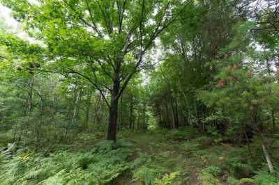 Residential Land For Sale in Remus, Michigan