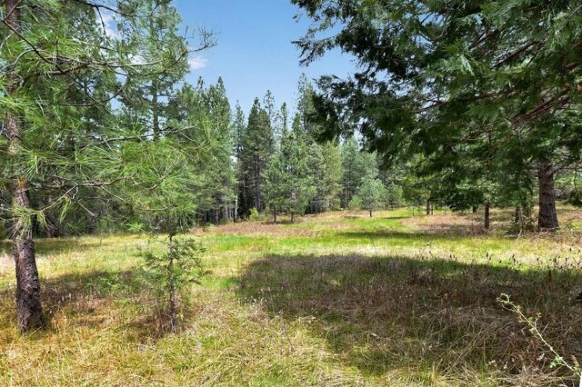 Picture of Residential Land For Sale in Camptonville, California, United States