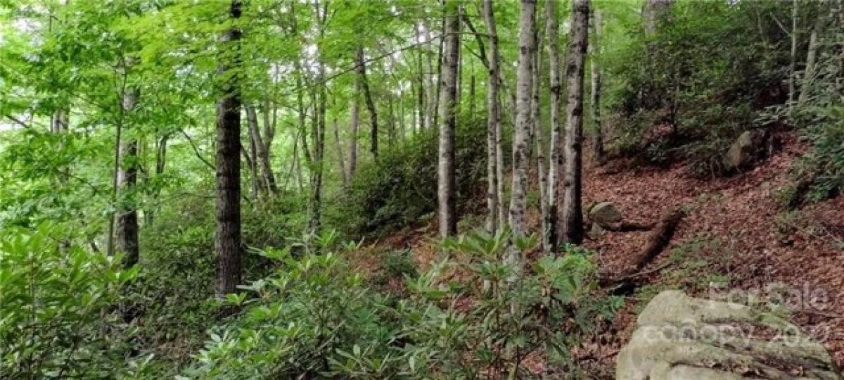 Picture of Residential Land For Sale in Marion, North Carolina, United States