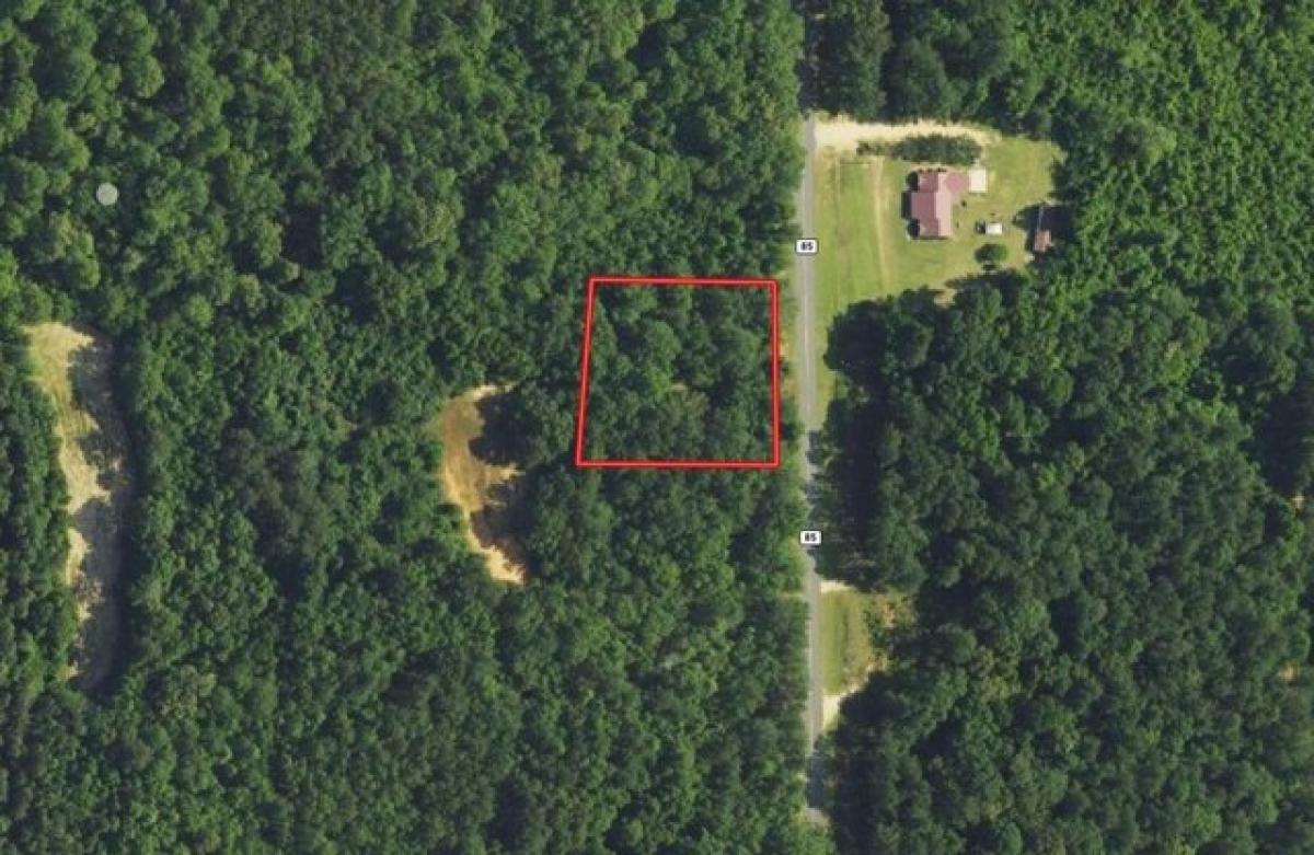 Picture of Residential Land For Rent in Evergreen, Alabama, United States