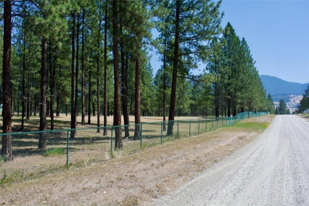 Picture of Residential Land For Sale in Eureka, Montana, United States