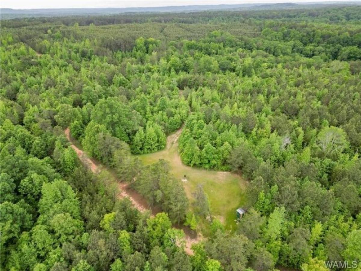 Picture of Residential Land For Sale in Adger, Alabama, United States