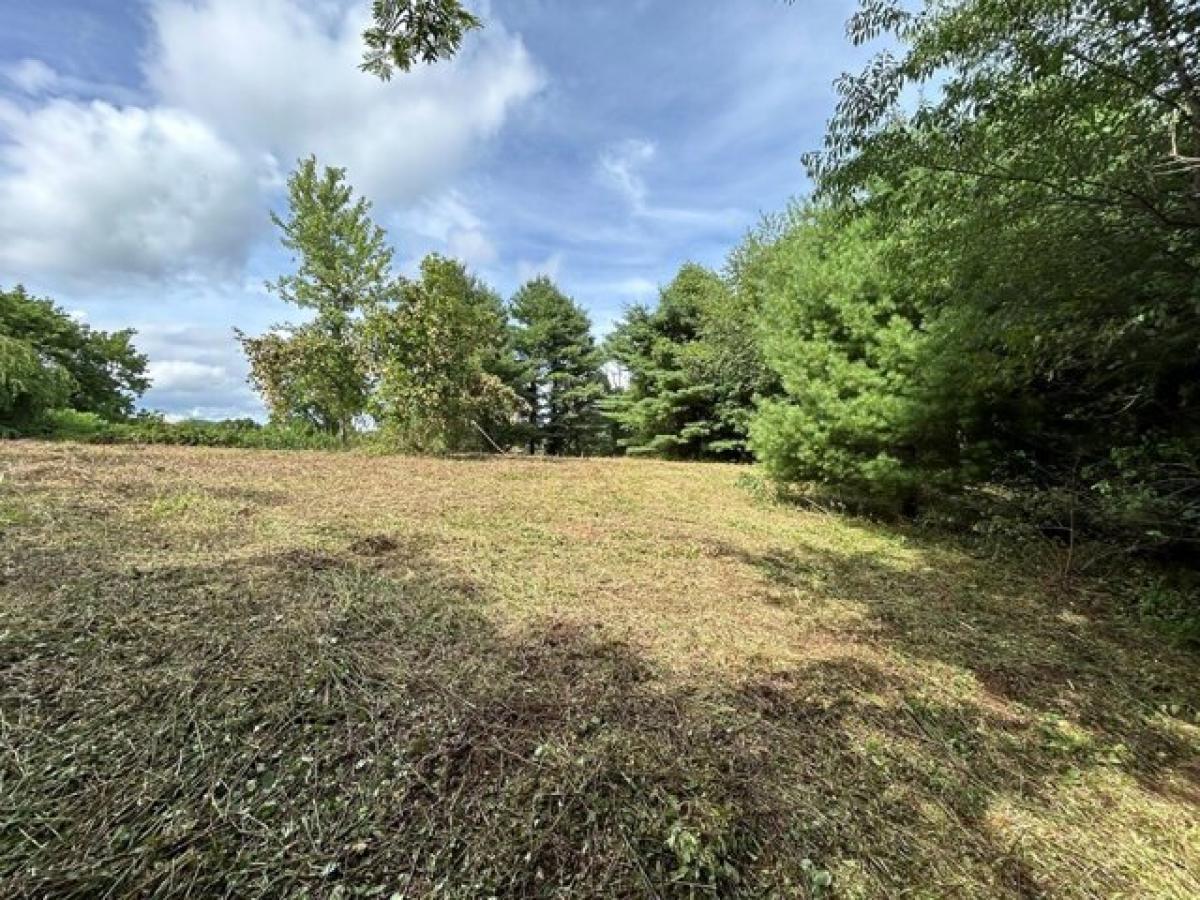 Picture of Residential Land For Sale in Galax, Virginia, United States