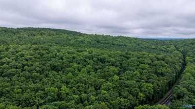 Residential Land For Sale in Collinsville, Alabama