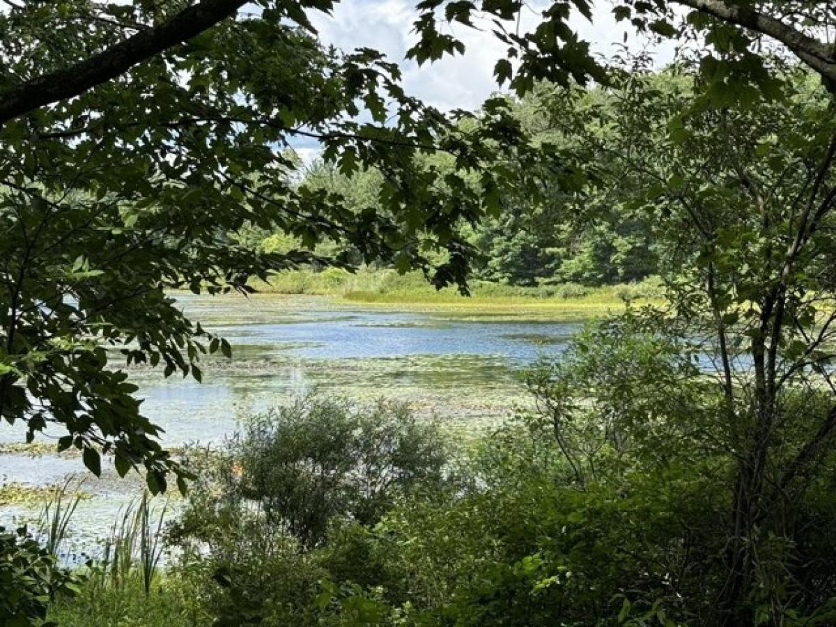 Picture of Residential Land For Sale in Wellston, Michigan, United States