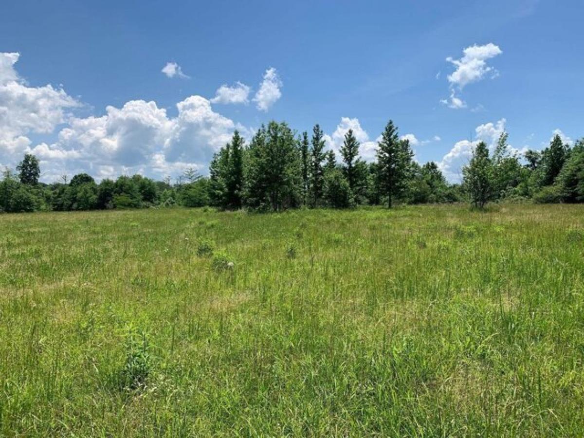 Picture of Residential Land For Sale in Middleton, Tennessee, United States