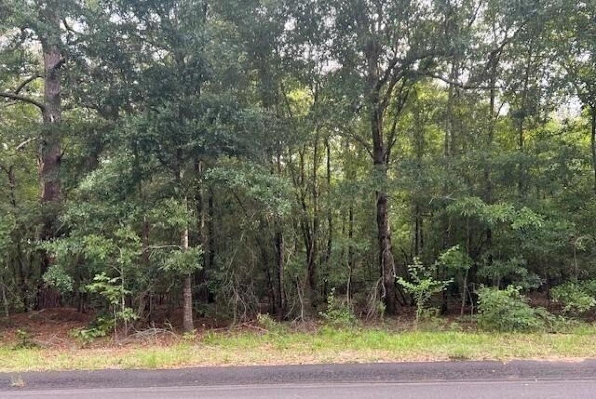 Picture of Residential Land For Sale in Barnwell, South Carolina, United States