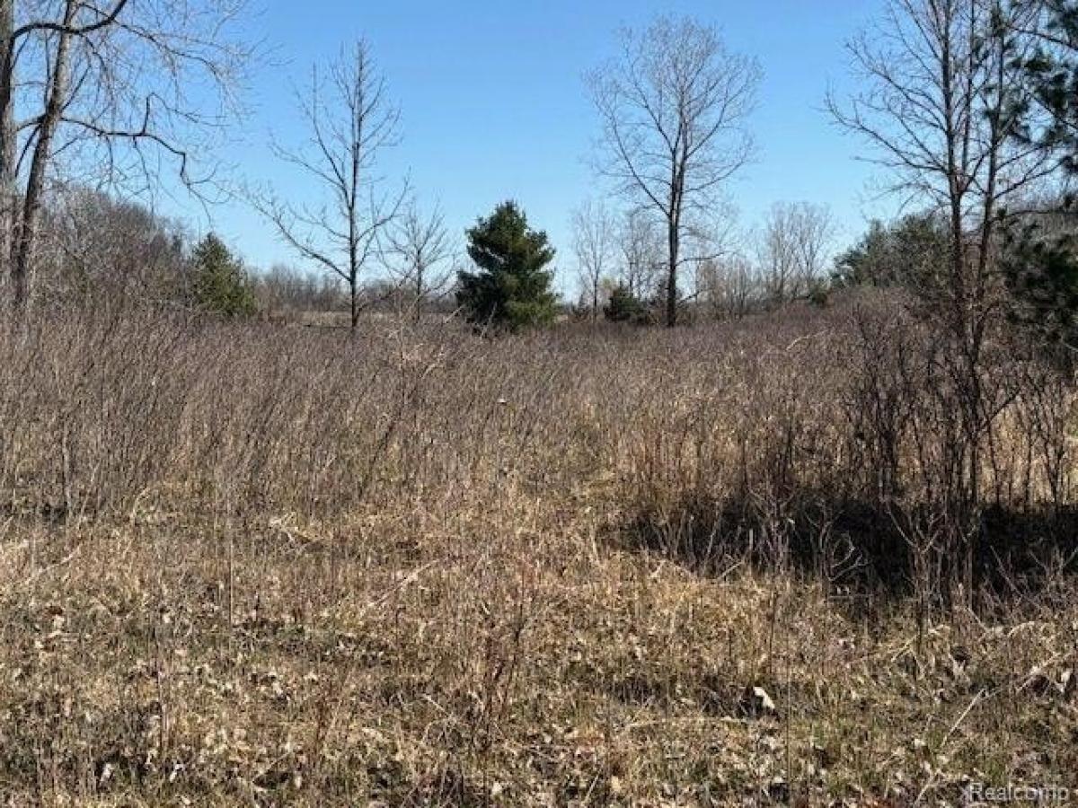 Picture of Residential Land For Sale in Metamora, Michigan, United States