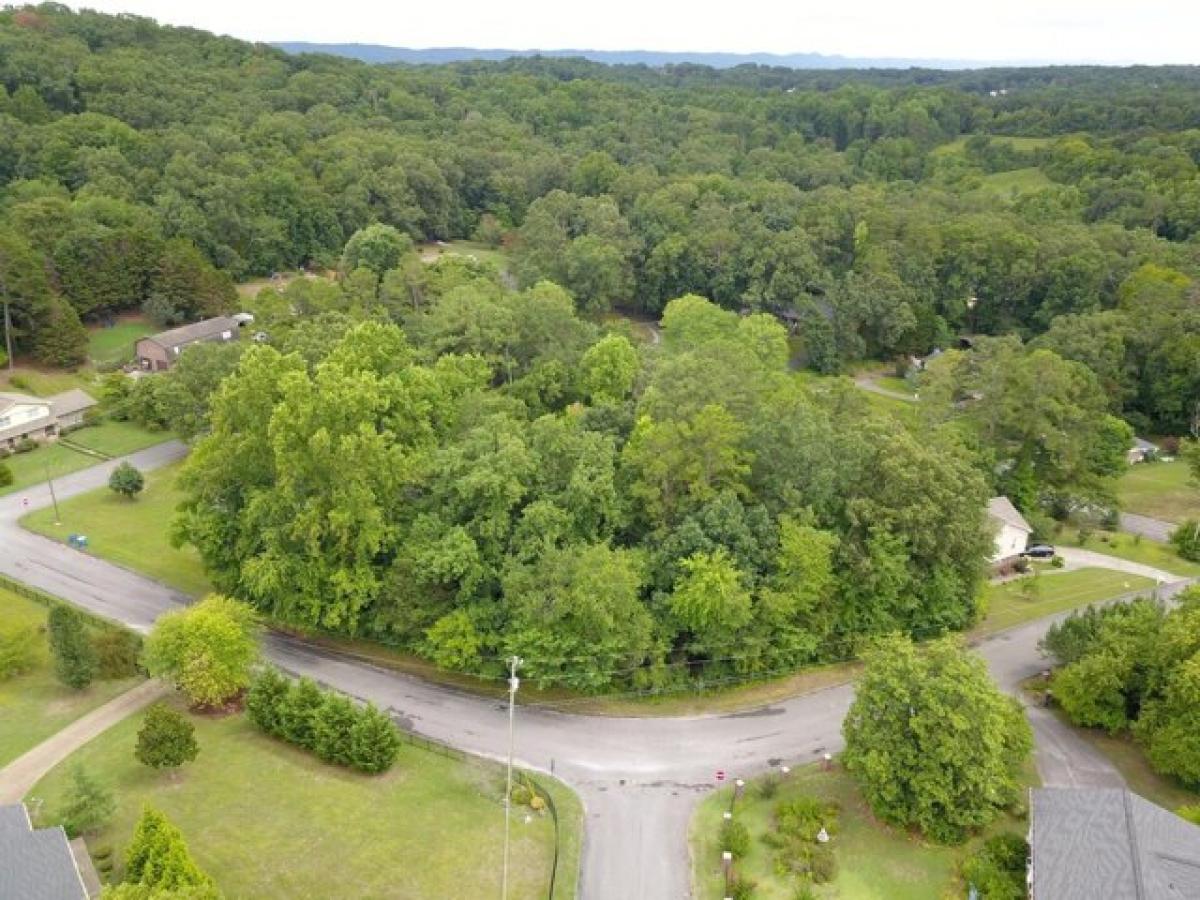 Picture of Residential Land For Sale in Ringgold, Georgia, United States