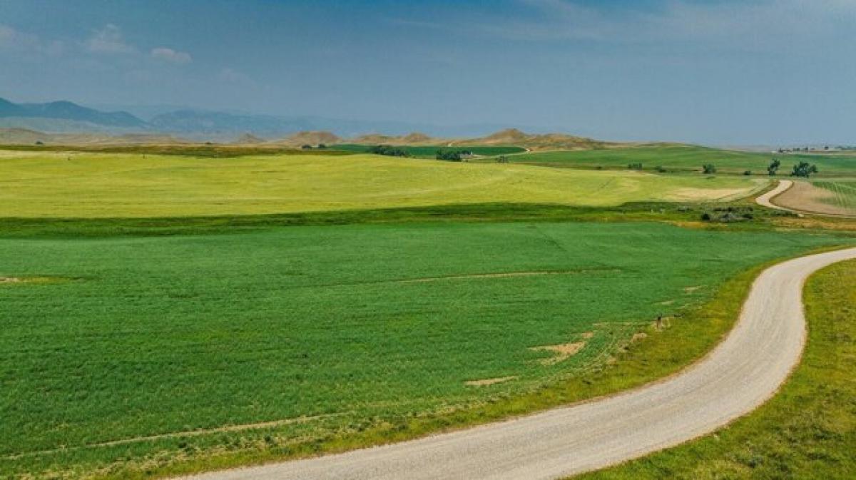 Picture of Residential Land For Sale in Buffalo, Wyoming, United States