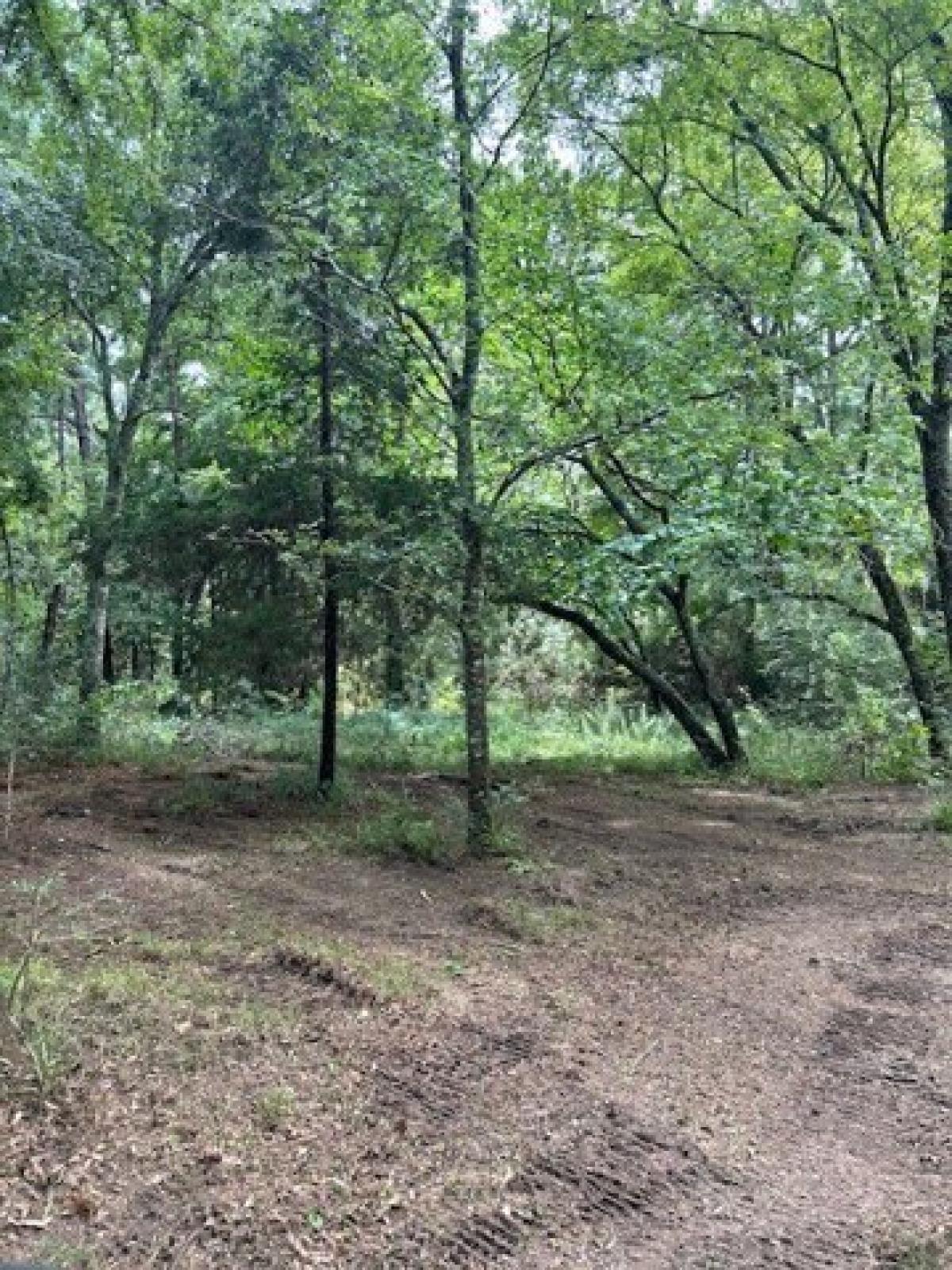 Picture of Residential Land For Sale in Navasota, Texas, United States