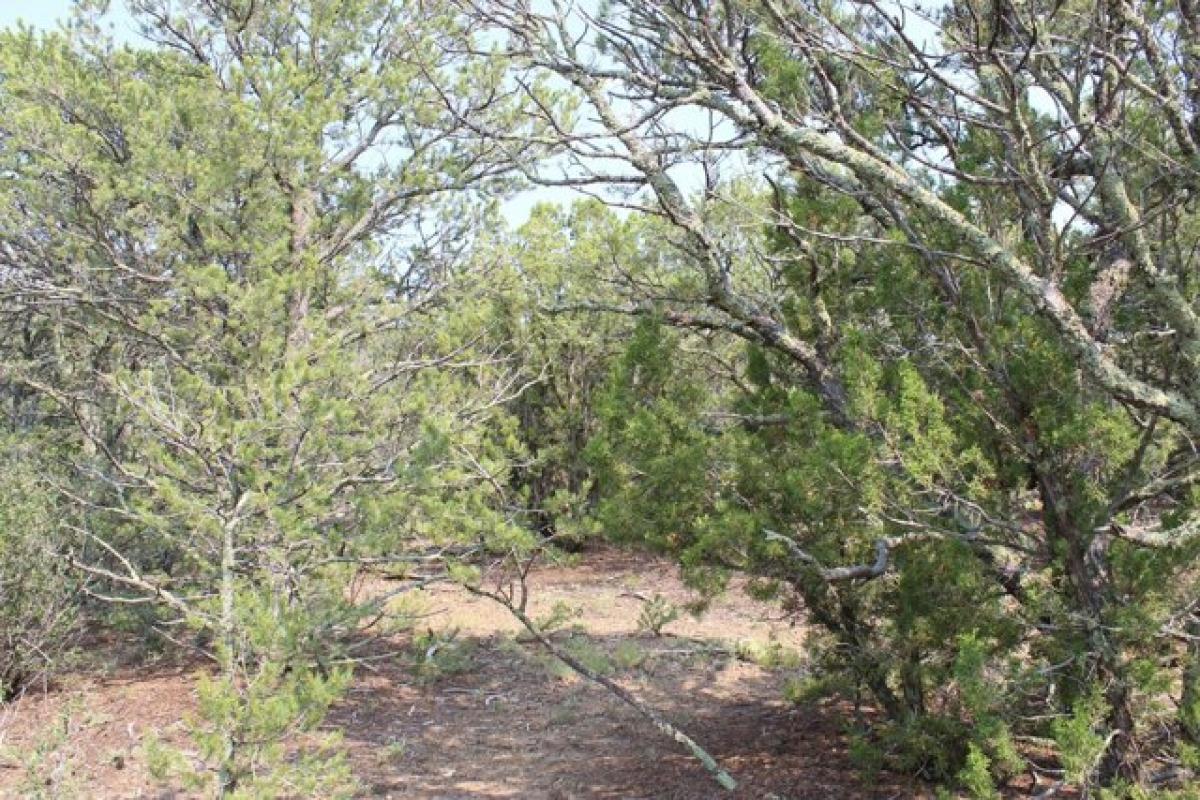 Picture of Residential Land For Sale in Trinidad, Colorado, United States