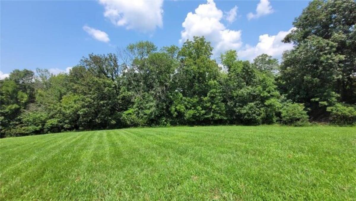 Picture of Residential Land For Sale in Foley, Missouri, United States