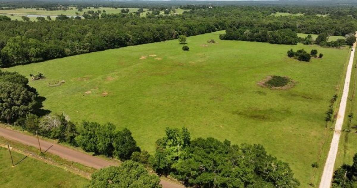 Picture of Residential Land For Sale in Palestine, Texas, United States