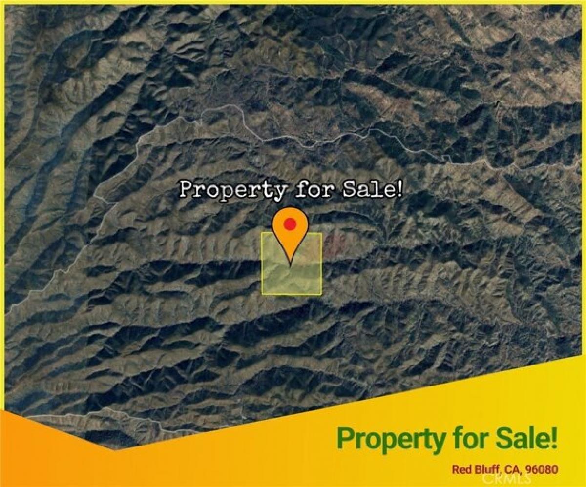 Picture of Residential Land For Sale in Red Bluff, California, United States