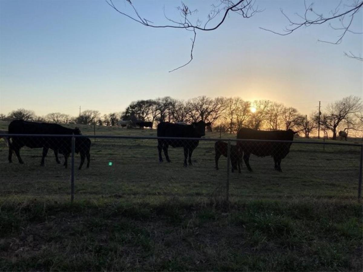 Picture of Residential Land For Sale in Covington, Texas, United States