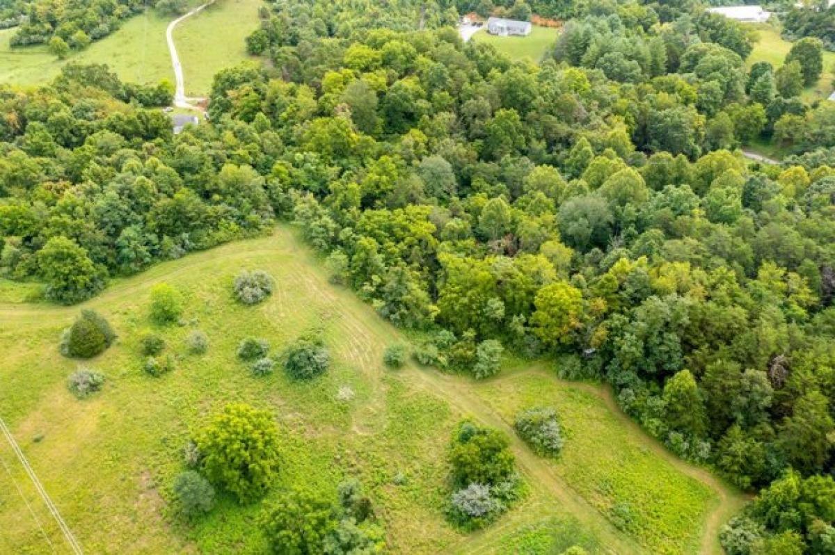 Picture of Residential Land For Sale in Buchanan, Virginia, United States