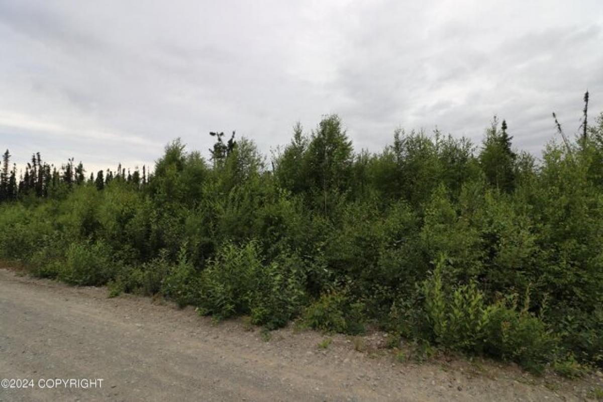 Picture of Residential Land For Sale in Wasilla, Alaska, United States