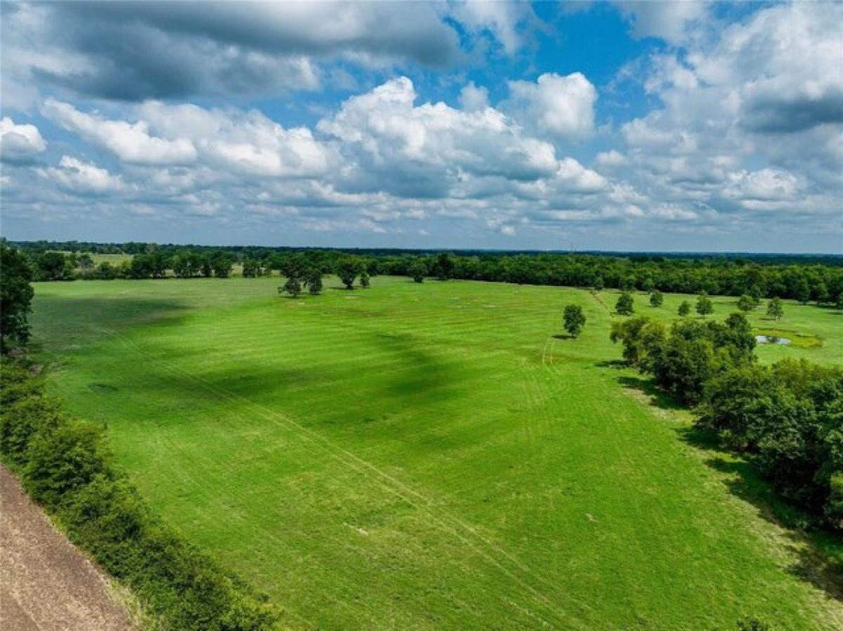 Picture of Residential Land For Sale in Fort Towson, Oklahoma, United States