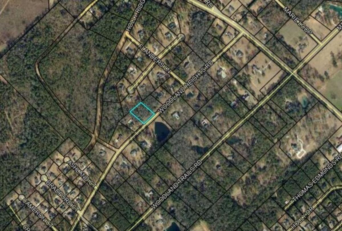 Picture of Residential Land For Sale in Dublin, Georgia, United States