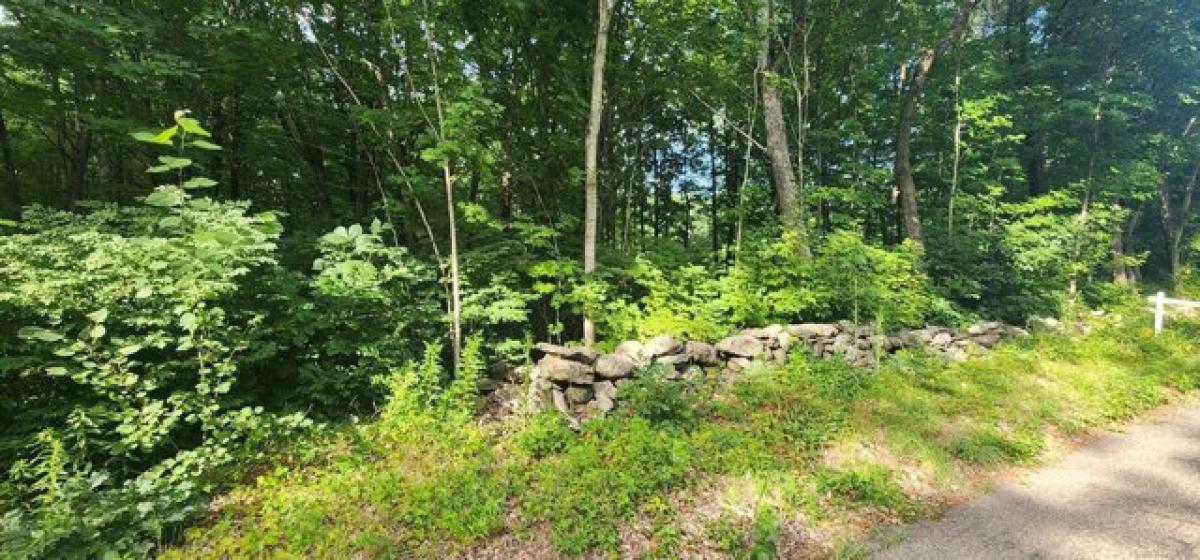 Picture of Residential Land For Sale in Stafford, Connecticut, United States