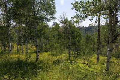 Residential Land For Sale in Clark, Colorado