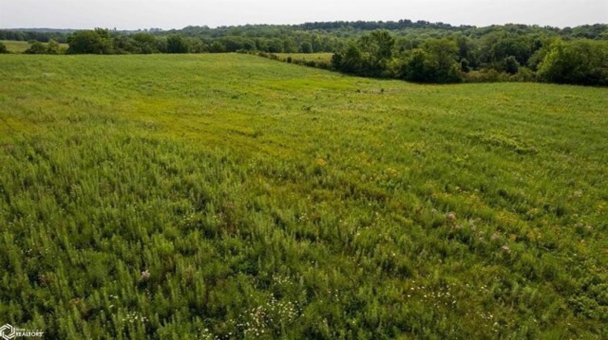 Picture of Residential Land For Sale in Bussey, Iowa, United States