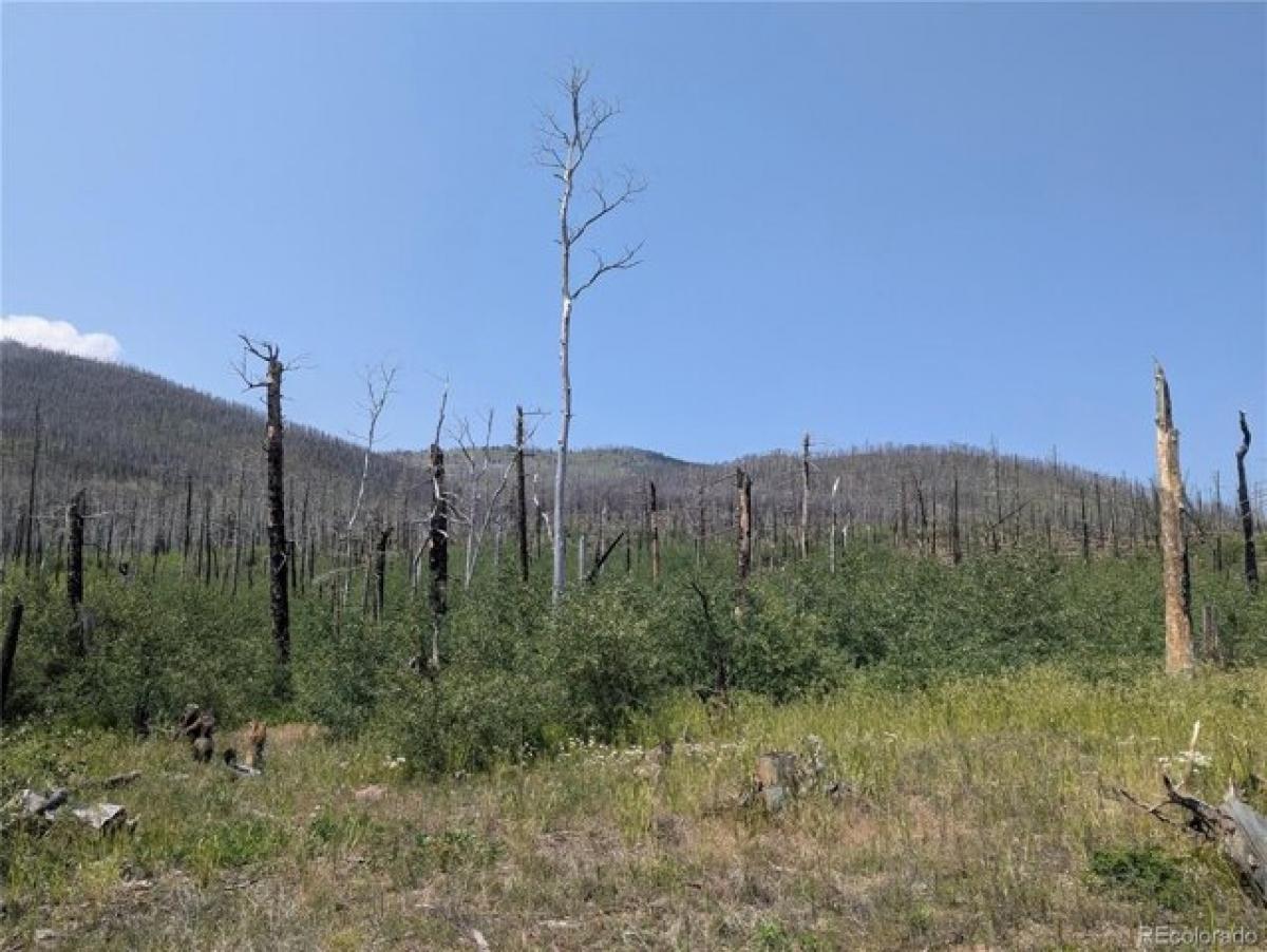 Picture of Residential Land For Sale in Fort Garland, Colorado, United States