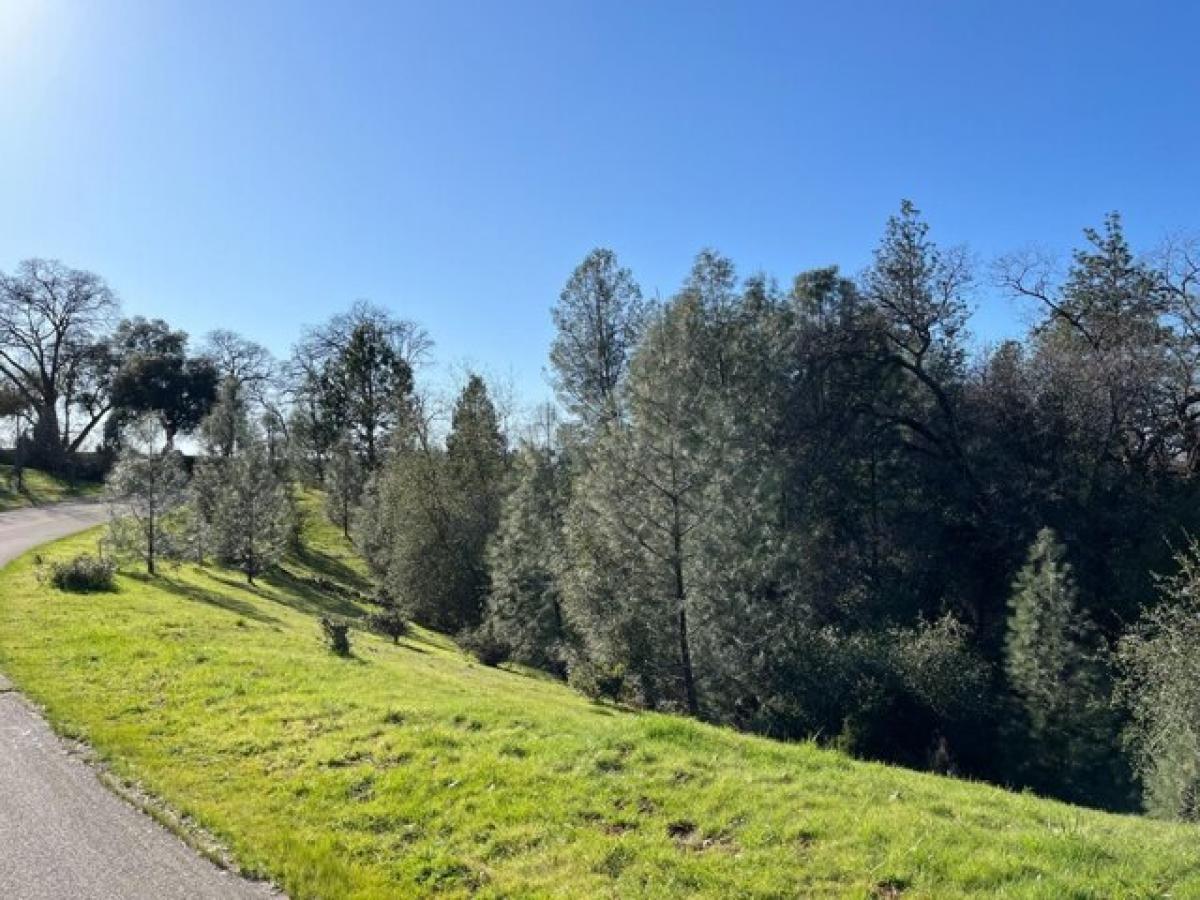 Picture of Residential Land For Sale in Auburn, California, United States