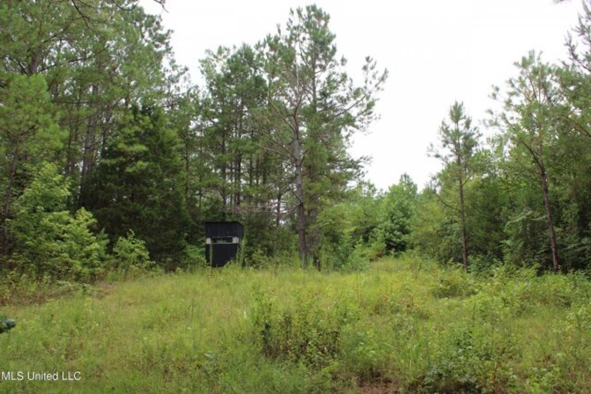 Picture of Residential Land For Sale in Falkner, Mississippi, United States