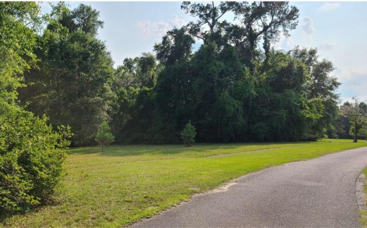 Picture of Residential Land For Sale in Lake City, Florida, United States