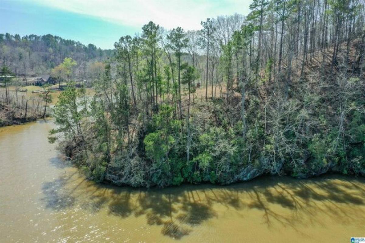 Picture of Residential Land For Sale in Rockford, Alabama, United States