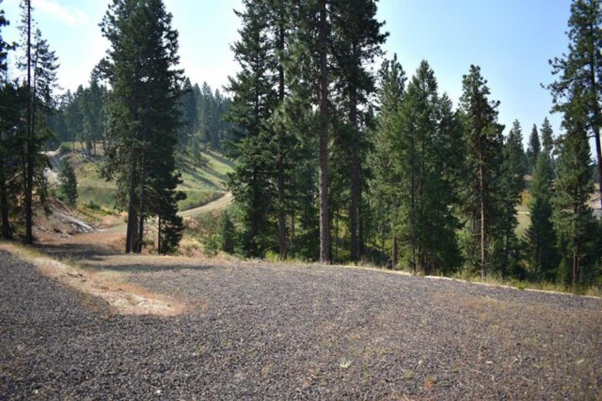 Picture of Residential Land For Sale in Cascade, Idaho, United States