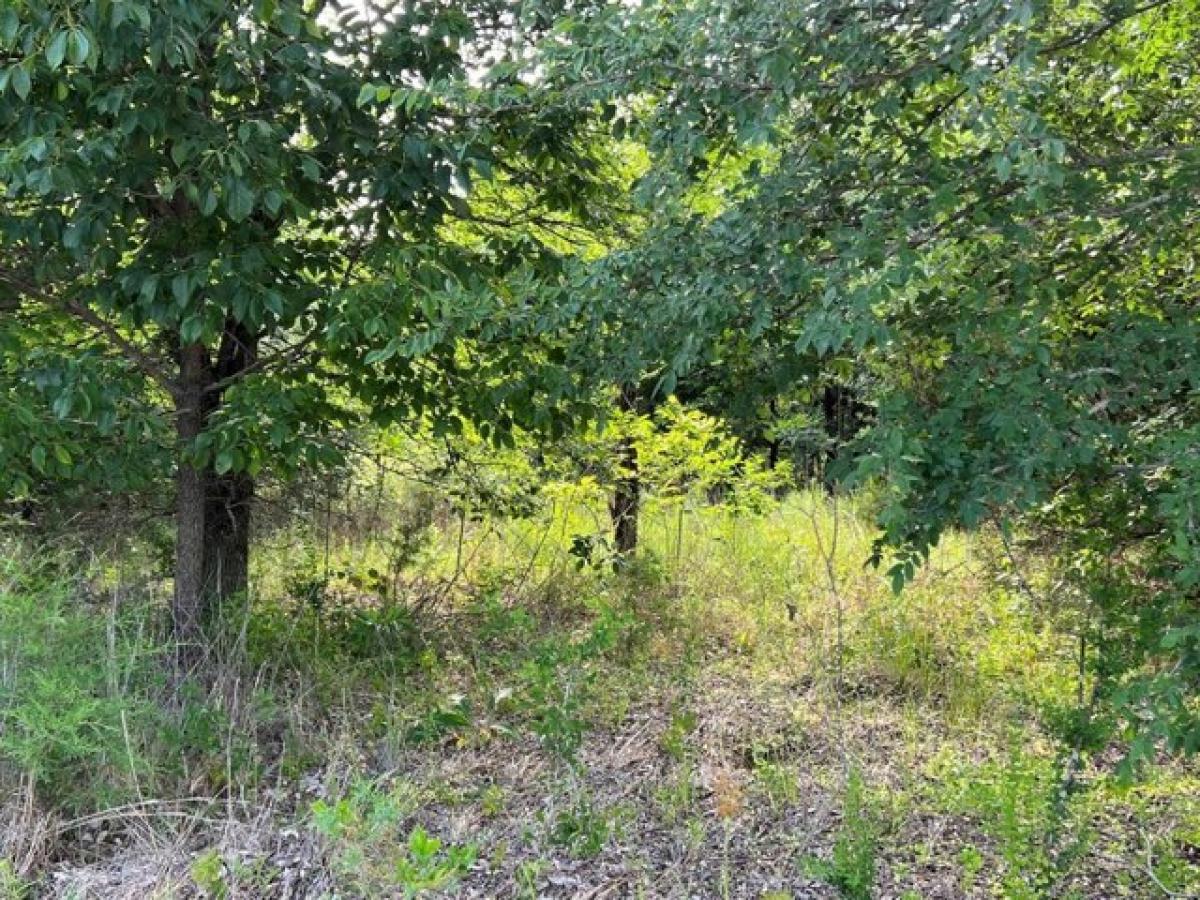 Picture of Residential Land For Sale in Colbert, Oklahoma, United States