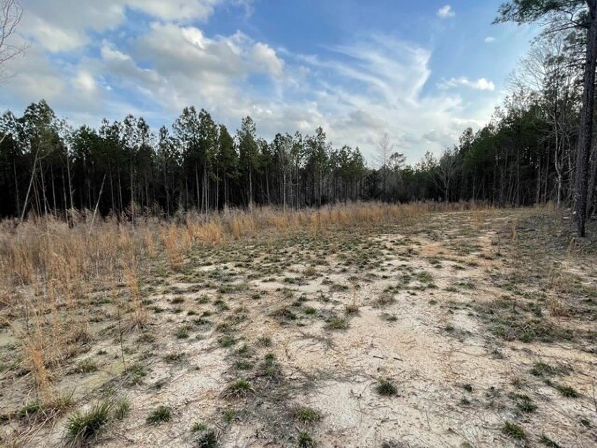 Picture of Residential Land For Sale in Brookhaven, Mississippi, United States