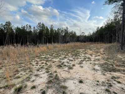 Residential Land For Sale in 