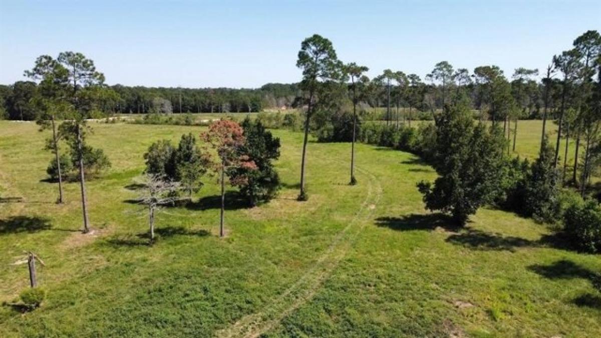 Picture of Residential Land For Sale in Kountze, Texas, United States