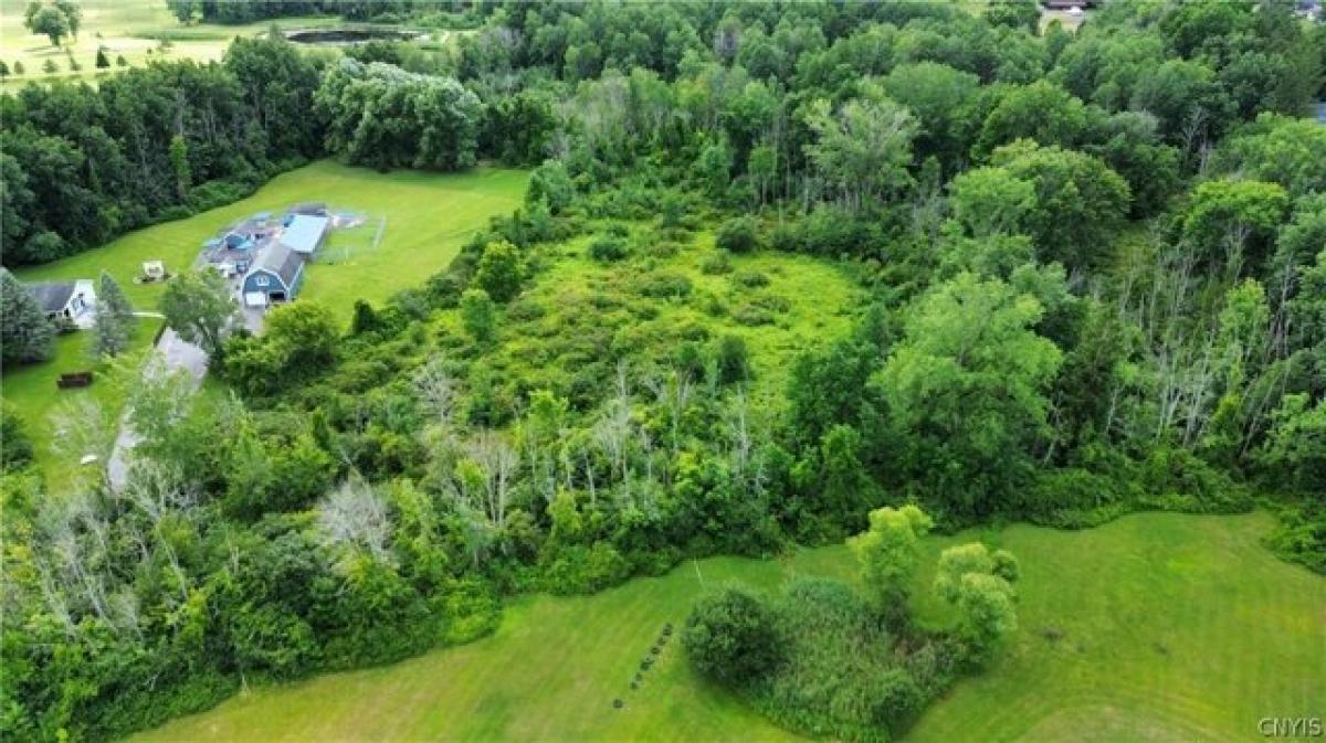 Picture of Residential Land For Sale in Clay, New York, United States