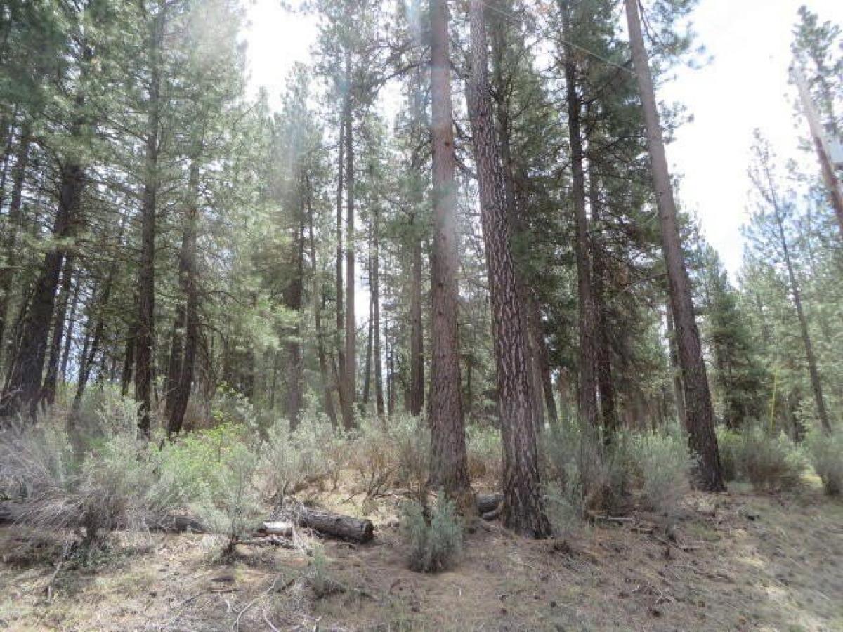 Picture of Residential Land For Sale in Chiloquin, Oregon, United States