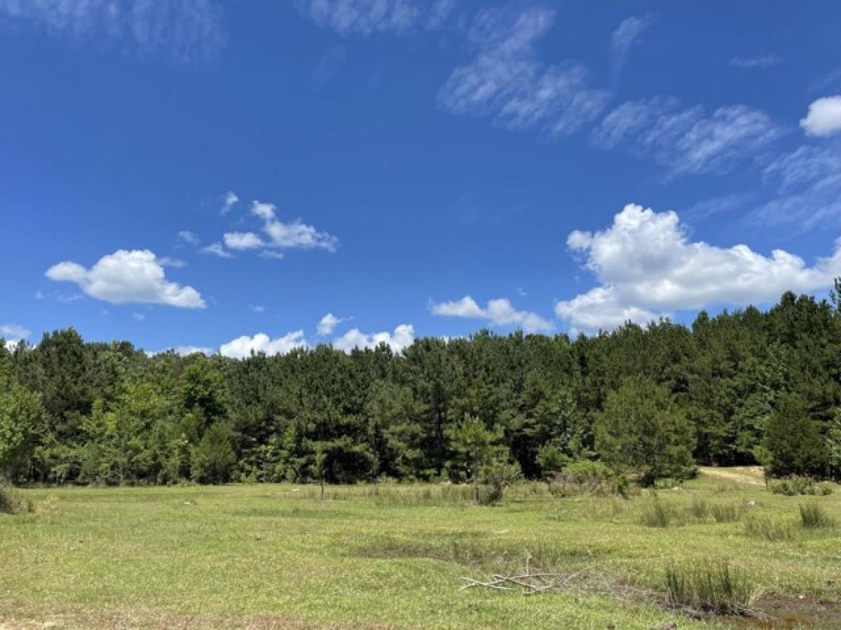 Picture of Residential Land For Sale in Rienzi, Mississippi, United States