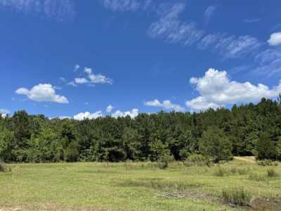 Residential Land For Sale in Rienzi, Mississippi