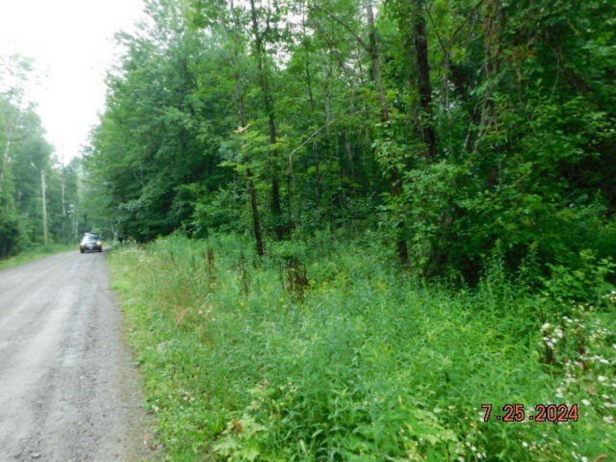 Picture of Residential Land For Sale in Newport, Maine, United States