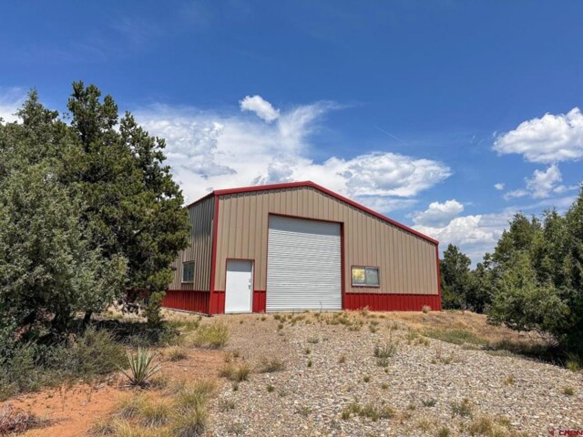 Picture of Residential Land For Sale in Mancos, Colorado, United States