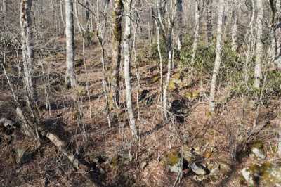 Residential Land For Sale in Sugar Mountain, North Carolina