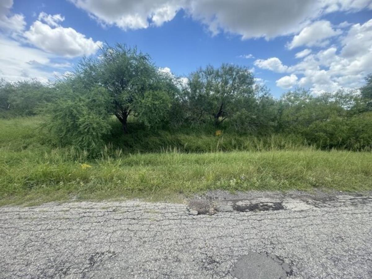 Picture of Residential Land For Sale in Bishop, Texas, United States