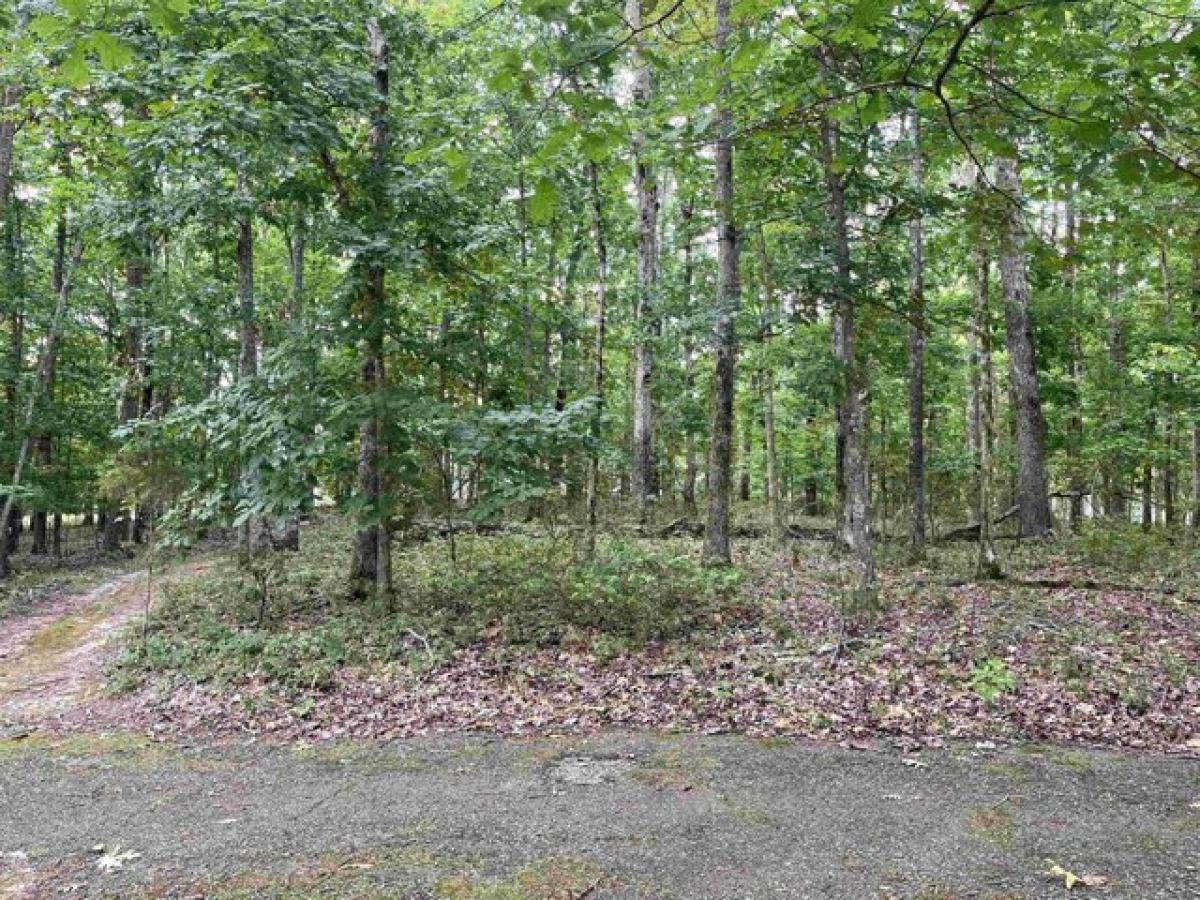 Picture of Residential Land For Sale in Counce, Tennessee, United States