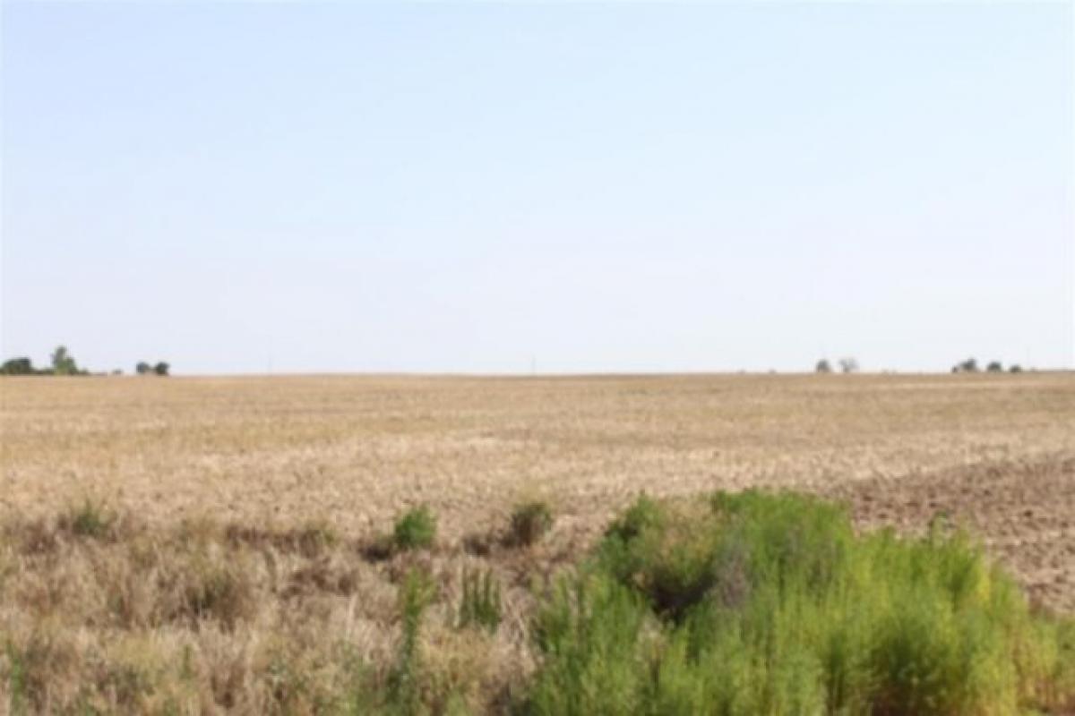 Picture of Residential Land For Sale in El Reno, Oklahoma, United States