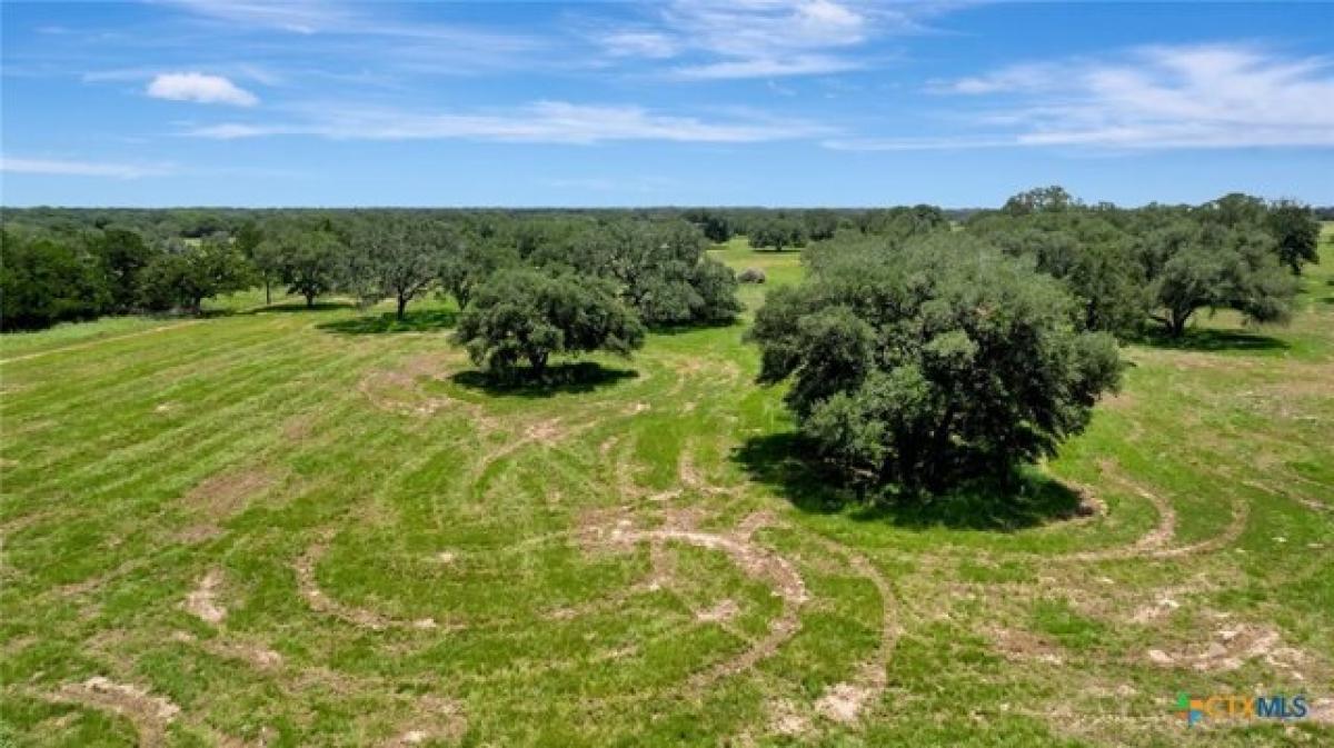 Picture of Residential Land For Sale in Hallettsville, Texas, United States